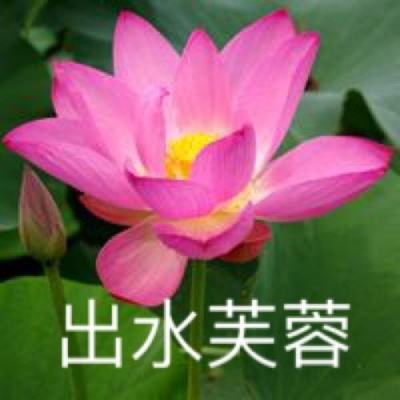 青丘仙缘官方版下载